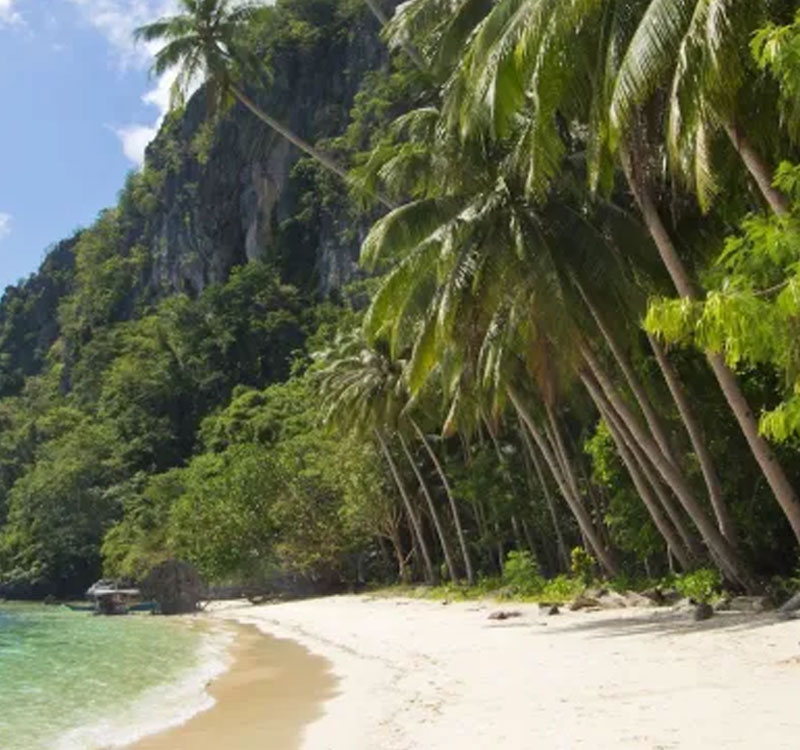 El Nido Tour B | Alvea Hotel